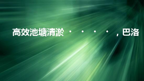 高效池塘清淤，巴洛仕設(shè)備助您一臂之力